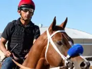 Jockey Luis Ramon Rodriguez Detained by ICE for Two Days