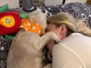 Kirkby woman heartbroken as pet mauled to death by loose dog