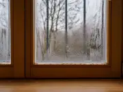 Kitchen staple stops window condensation, says cleaning expert