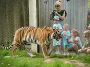 Knowsley Safari tickets for £1.09 via new TopCashback deal