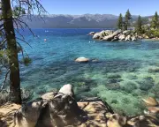 Lake Tahoe swimmer gets 38 stitches after otter attack