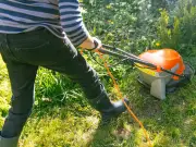 Lawn warning: RHS says rain 'not quite enough' for drought-hit grass