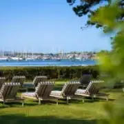 Lymington: Hampshire's hidden seaside gem with wild horses