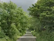 Man, 36, dies in Cotswolds car crash into tree