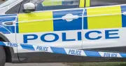 Man arrested after woman sexually assaulted and punched in chest