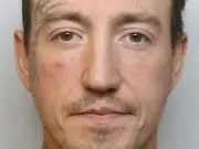 Man who beat ex's dog with hammer faces jail