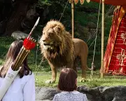 Meryl Streep as Aslan in Narnia: Why the Christian Right Is Outraged