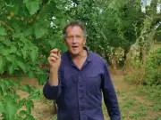 Monty Don leaves Gardeners' World after lawn advice backlash