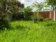 Monty Don's September lawn care: 3 essential jobs for a lush spring lawn