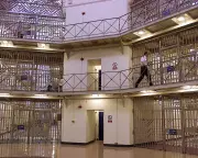 More sex offenders could be freed as courts struggle, police warn