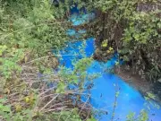 Mystery blue substance at Exmouth Beach prompts 'do not swim' warning