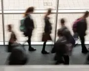 New vocational GCSEs in England from 2029