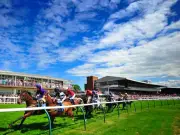 Newsboy's Tuesday tips: Twilight Fun and Enamorus backed