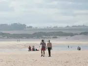 Northumberland beach named UK's most dog-friendly for 2026