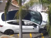 One killed, four injured in Tesla crash at LA Trader Joe's