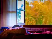 Open curtains 10 minutes a day to heat bedroom without radiators