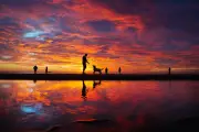 Photos of the weekend: sunrise, stilts and prize-winning guinea pigs