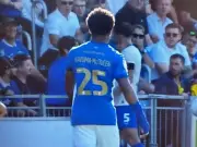 Portsmouth v Cardiff halted after Bielik fan incident