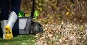 Prevent Autumn Lawn Damage: Simple Leaf Task Most Gardeners Ignore