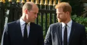 Prince Harry 'set to be stripped of titles' as William could make 'clever' move