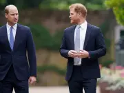Prince Harry's Africa comment to William revealed in book