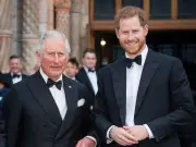 Prince Harry's 'mistake' during King Charles visit revealed by expert