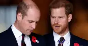 Prince Harry's olive branch offer after being 'ignored' by Prince William on UK return