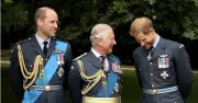 Prince Harry's redemption plan: tea with King, public William appearance
