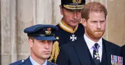Prince William no longer angry at Harry - and that should terrify the duke