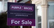 Purplebricks hit with HMRC winding-up petition over admin error