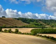 Rain transforms parched Berkshire landscape after dry summer