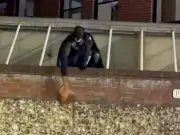 Real-life Batman chases down thief and recovers stolen handbag in Norwich
