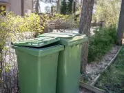 Recycling refused if bins left more than six feet into your garden