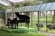 Rick Wakeman 'incredibly honoured' after performing to 150 rescue bears
