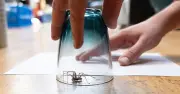 RSPCA 'make sure' warning if you catch a spider in your home