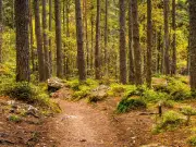 Scotland's best hidden gem autumn walks crowned - full list