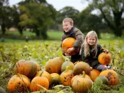 Scotland's best pumpkin patches named ahead of Halloween