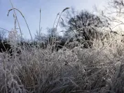 Scotland's Indian summer to end as temperatures plummet to 4C
