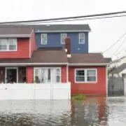 Shark spotted swimming in flooded suburbs as deadly storm batters US coast