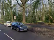 Sheffield murder probe: body with gunshot wound found in woods