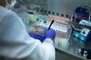 Sickle cell patients miss out on effective treatment, study finds