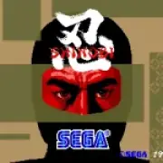 Six Most Ridiculous Ninja Games of the 80s