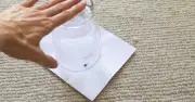 Spiders stay out of rooms when you target 1 part of house
