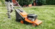 Stop cutting your grass at this time before winter or risk lasting damage