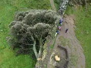 Sycamore Gap felling: 'moronic mission' that shocked the world, three years on