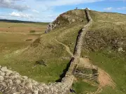 Sycamore Gap site shows new shoots three years after felling