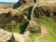 Sycamore Gap stump shows new shoots three years after felling