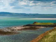 Tiny Northumberland island with castle ruins and very special wildlife visitor