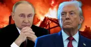 Trump says Putin not seeking NATO attack despite Germany drone strike