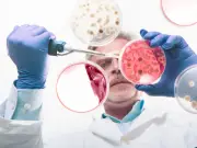 Tumour-eating bacteria engineered to destroy cancers from within